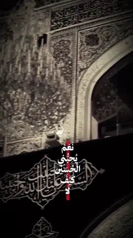 نعم يحبني الحسين .❤️🕊️ #ياحبيبي_ياحســــــــــين #يااباعبدالله_الحسين #ياحسين #اكسبلور #محضوره_من_الاكسبلور_والمشاهدات 