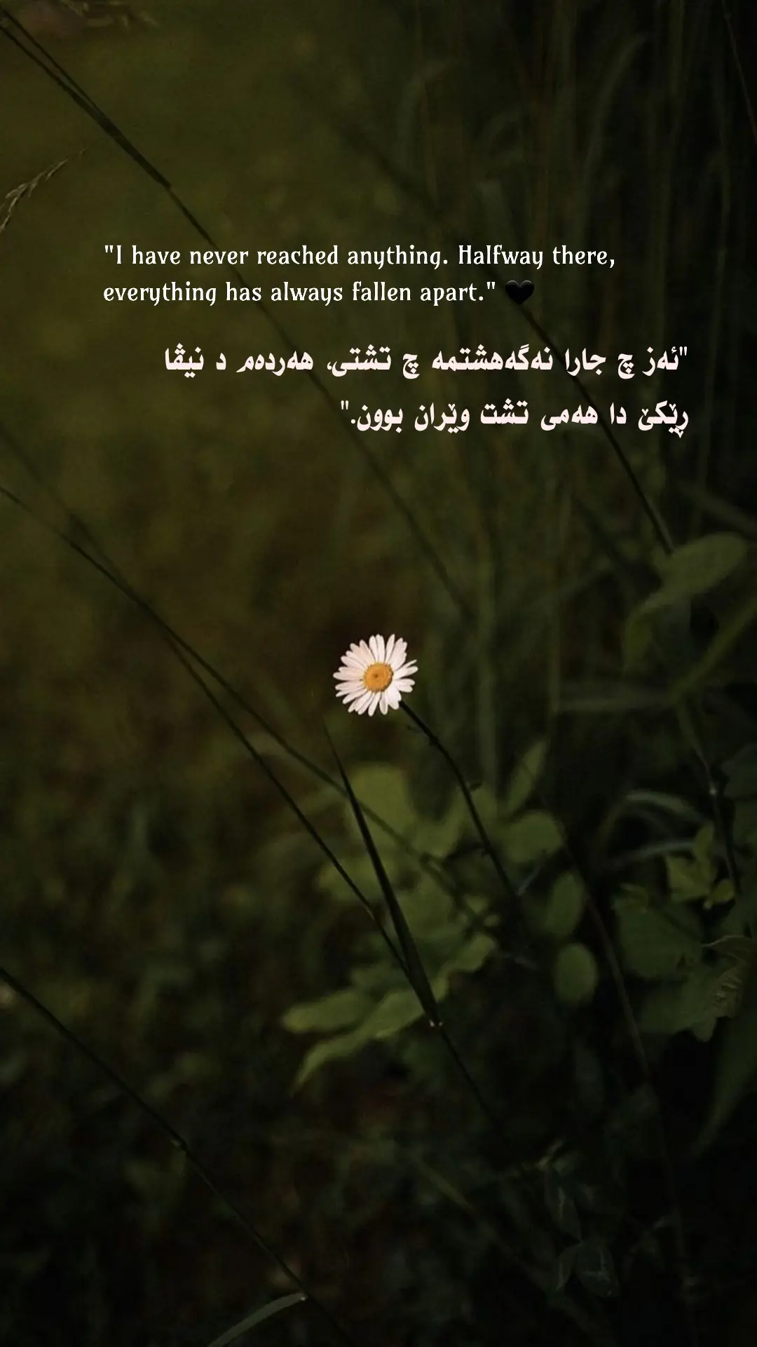 #creatorsearchinsights #دهۆک #dill #zaxo_duhok_hewler_slemani_hawler #fyp 