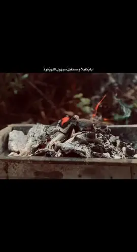 #CapCut #اكسبلورexplore❥🕊 