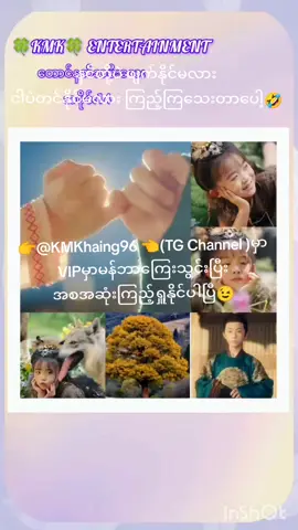 တောင်နတ်သမီးလေး အပိုင်14 #🍀KMK🍀ENTERTAINMENT 