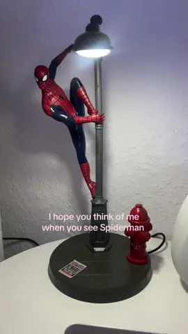 I love Spiderman #real #spiderman #nerd #thinkofme #fyp 
