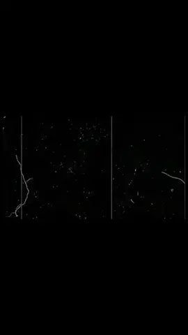 #duet with @𝗥𝗜𝗙𝗔𝗧   ▎راجين ❤️‍🩹আল্লাহ আমাদের সবাই কে হেদায়েত দান করুন 