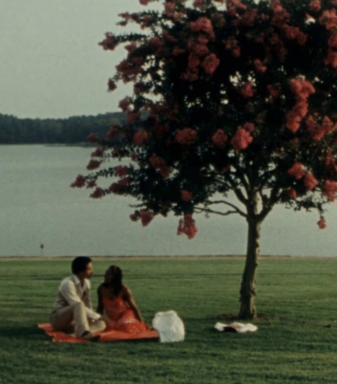 Agir ketîye dilê miin, Xew nakeve çavê min, Çima tu ji min dûr ketî? Bêje ronîya çavê min….. #kurdistan #kurdish #kurd #stranekurdi #Love 