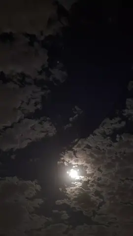 #تصميم_فيديوهات🎶🎤🎬  #مجرد________ذووووووق🎶🎵💞 #fyp #explore #رهط_تل_اسبع_اشقيب_عرعره_حوره_هداج__ 