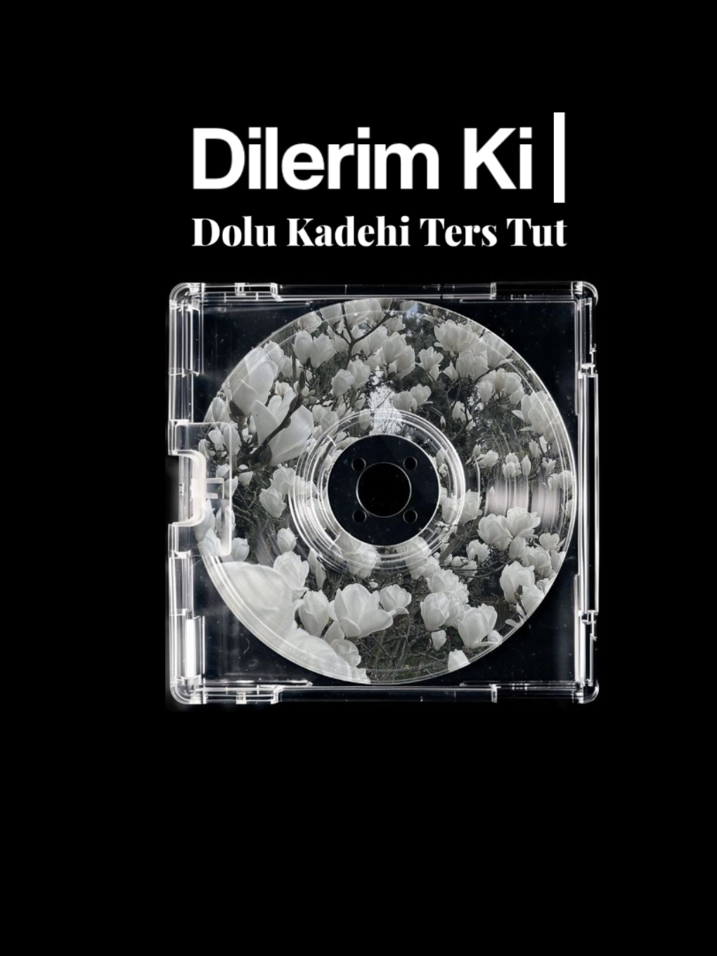 dilerim ki.. #fyp #fypシ゚ #lyrics 