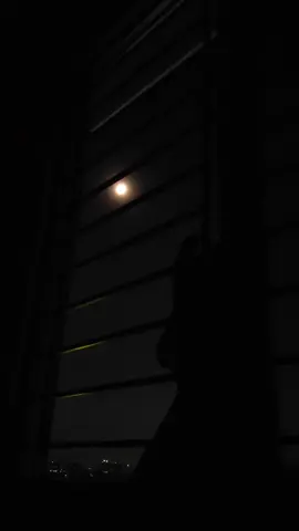 একটা চাঁদ জোছনা রাইতে....🌕🥀🖤 #moon #sadvideo #myroom #nightvibes  #fyp 