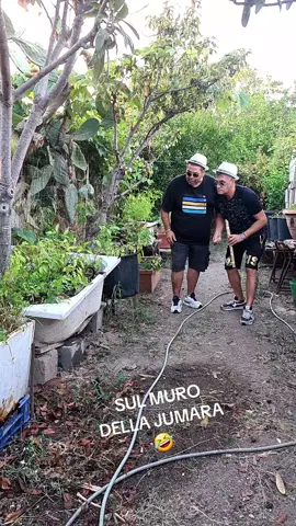 @SUL CIGLIO DELLA MURAGLIA 