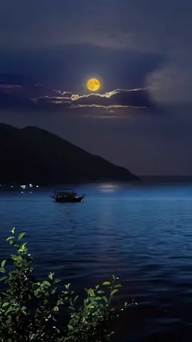 #🌊🌊🌊🌊🌊 