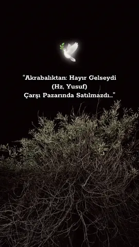 #keşffet #keşffetbeniöneçıkart 