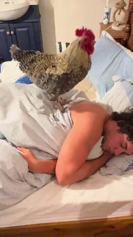 Morning !!!! 🤣🤣🤣🤣🤣🤣🤣  #morning #funny #fyp #viral #foryou 