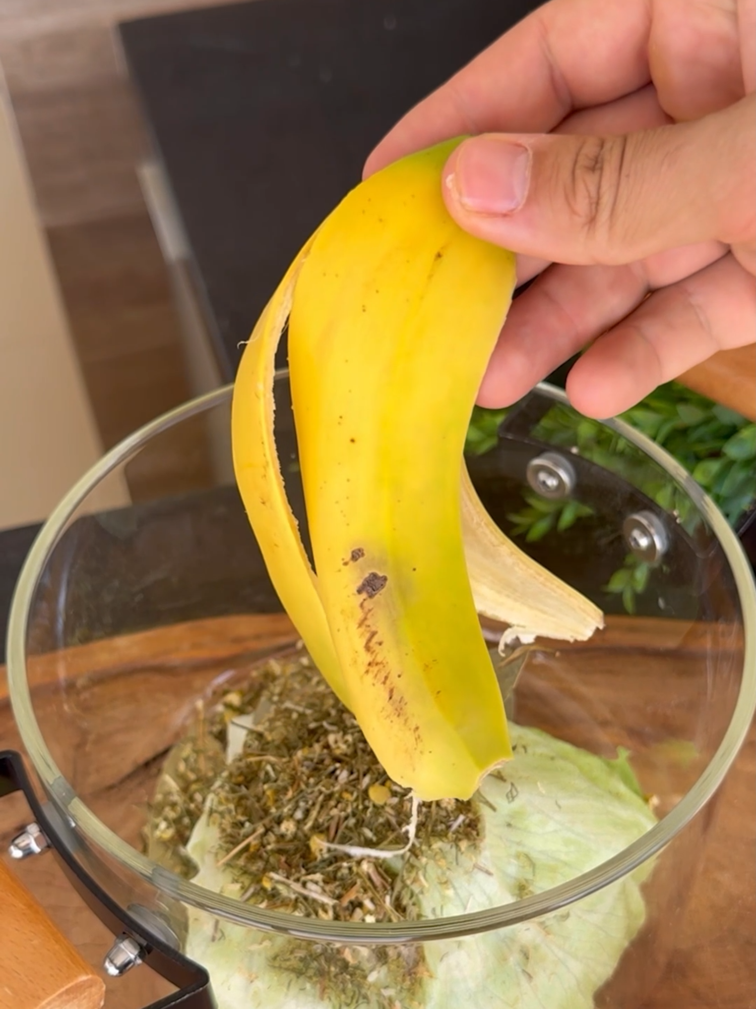 Coloque folha de alface com banana, flor de camomila e louro