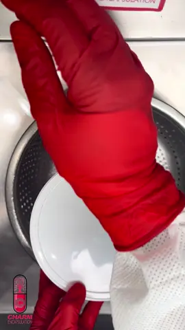 Placenta Encapsulation: Hi mama!! How are you and baby doing??!  Sending you and the family nothing but joy and love as you welcome little one home. Wishing you an amazing and smooth recovery mama! Thank you for allowing us to be apart of your journey. 🥰  Congratulations ❤️❤️ #charmencapsulation #SideHustleLIVE #LanguageLearning #liveincentiveprogramissue🔥 #LIVEIncentiveProgram                  