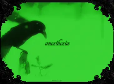 anesthesia - type o negative ⊝ (most requested on my insta requests) ;; #foryoupage #foryou #typeonegative #typeonegativeband #petersteele 