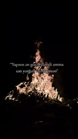 reports#qlobal #keşfettttt #report #keşfetbeniöneçıkart #keşfettut 