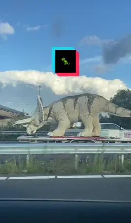 Gewoon een dinsdagavond 🦖