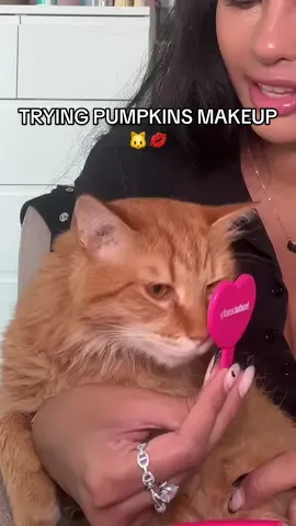 Full face of pumpkin’s makeup! My cat has better makeup than me🙄 @Huda Beauty @Huda 