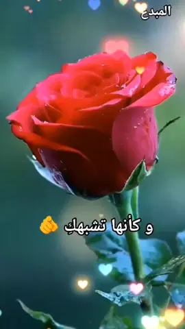 #####حبيبتي_وروحي🤍💕🤍 #انتي #حفظكم_الله_ورعاكم_ونصركم_وأعزّكم_ #مساء_الخير #المغرب🇲🇦 