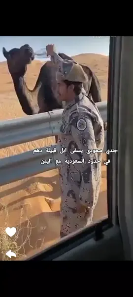 حرس الحدود السعودي  الابل  آبل دهم 