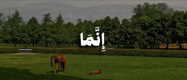 إِنَّمَا ٱلۡمُؤۡمِنُونَ ٱلَّذِینَ إِذَا ذُكِرَ ٱللَّهُ وَجِلَتۡ قُلُوبُهُمۡ وَإِذَا تُلِیَتۡ عَلَیۡهِمۡ ءَایَـٰتُهُۥ زَادَتۡهُمۡ إِیمَـٰنࣰا وَعَلَىٰ رَبِّهِمۡ یَتَوَكَّلُونَ﴾ [الأنفال ٢] #محمد_ايوب #سورة_الأنفال #quran #قران 