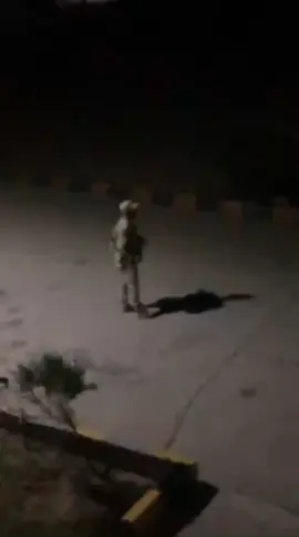 الشمال الوحيد الي هيوديك الجنه هو شمال سيناء ✨🦅🦅