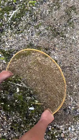 Beach Treasure🤩#beach #discovery #gold #viral #treasure 