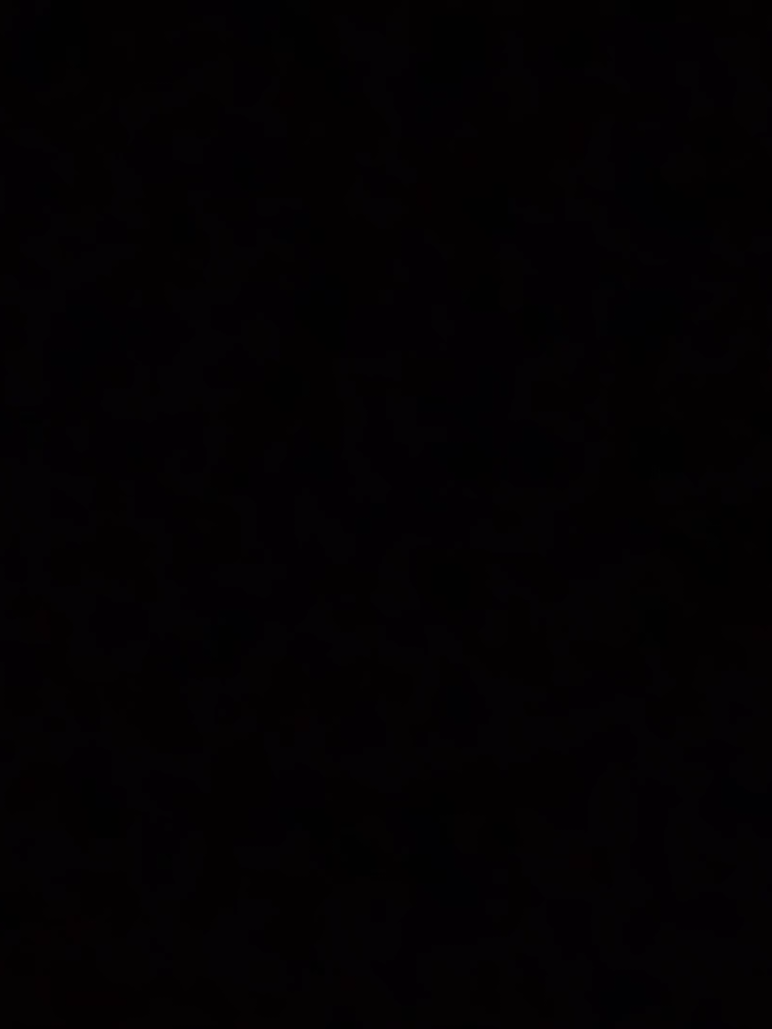 فهّل يحُبنـي الحُسّٰين..🤍