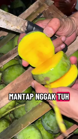 Rujak aceh aman yah ges