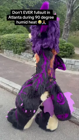 @Drax 📹 🔜 MFF  had to help out 😭😭.      #furry #fursuit #publicfursuiting 