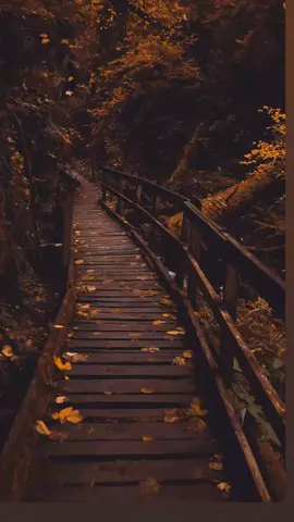 خايف لمن كتر الهموم 💔#احمد_سعد🎤 #هشام_الجخ #منى_الشاذلي #مشاهدات_تيك_توك #fyp 