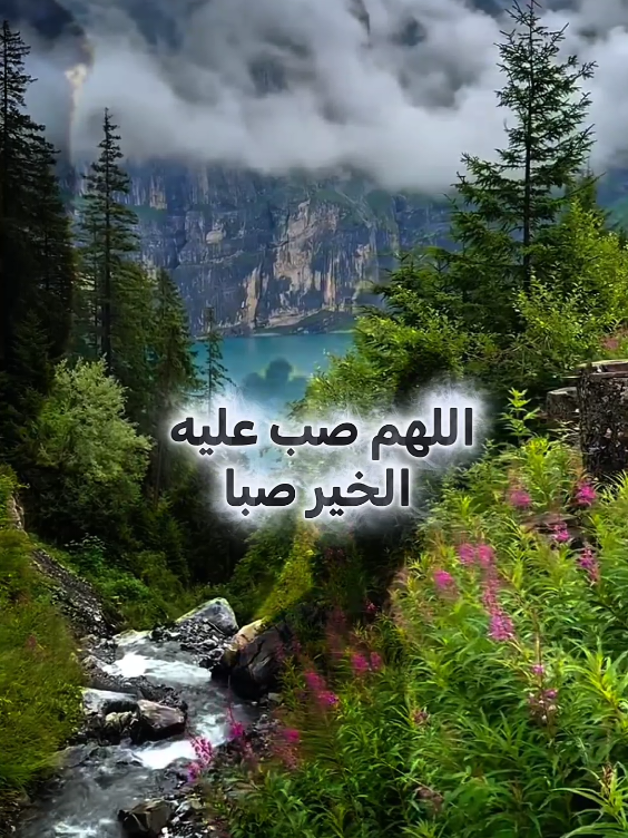 اللهم هب لي بيتا امنا لا يتسرب سره ولا ينفد خيره #اللهم-امين#اكتب_شي_توجر_عليه #اكسبلور #explorer 