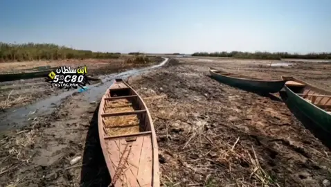 #مواويل #لواء_الفتلاوي #النجف_الاشرف_الان 