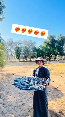 #حمدي♥️ #القناشي🥀♥ #العلمين_الساحل_الشمالي #♥✌️ 