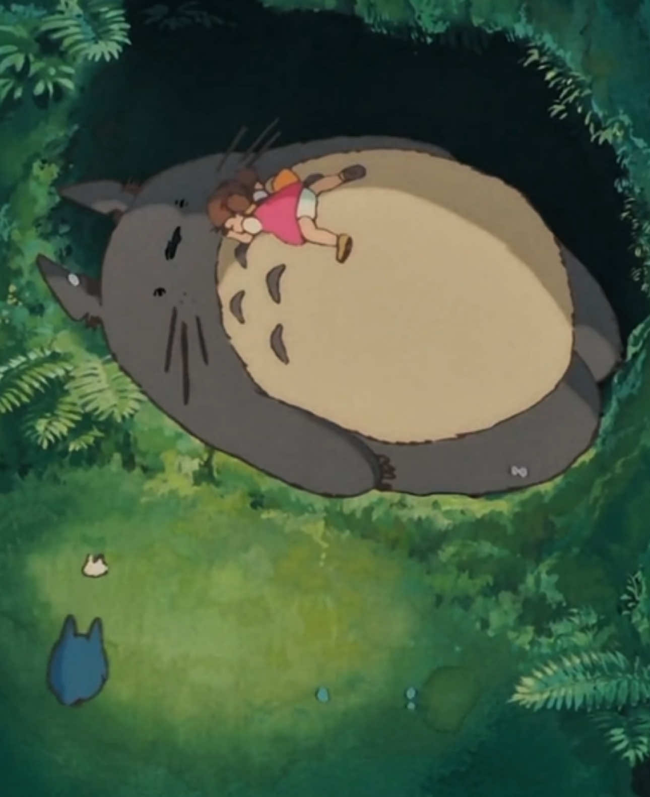 Studio Ghibli #studioghibli #stvlightss #hayaomiyazaki #edit 