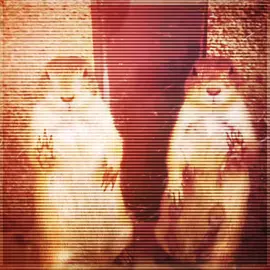 i dint like this 😓 #edit #nana #blackstones #fyp #nanaedit 