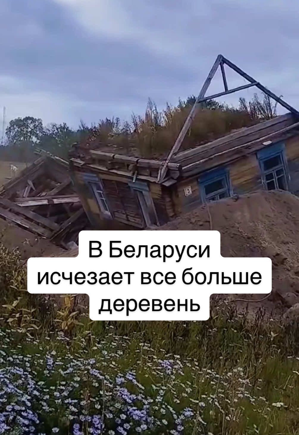 В Беларуси исчезает все больше деревень. Заброшенные дома сносят, а деревянные хатки, что стояли десятилетиями, уходят в прошлое. Видео с разрушением одного из таких домов появилось в соцсетях и сильно тронуло людей. Многие пользователи отмечают — в деревнях жила история, души людей. «Сижу и плачу… Так горько, словно человека хоронят. У дома тоже есть душа», — пишут в комментариях. Кто-то рассказывает, как молодая семья хотела купить заброшенный дом, но власти отказали. Дом просто снесли, теперь на его месте пустырь. За последнее десятилетие в Беларуси исчезло около 400 деревень. Число городских поселков тоже сокращается: с 92 в 2012 году до 85 в 2024-м. Это затронуло жизнь более 300 тысяч человек — как население Бреста. Почему это происходит? В деревнях выше бедность, меньше социальной поддержки, высокая смертность и почти нет рабочих мест. Люди вынуждены уезжать в города. #беларусь #деревня #беларусьновости 