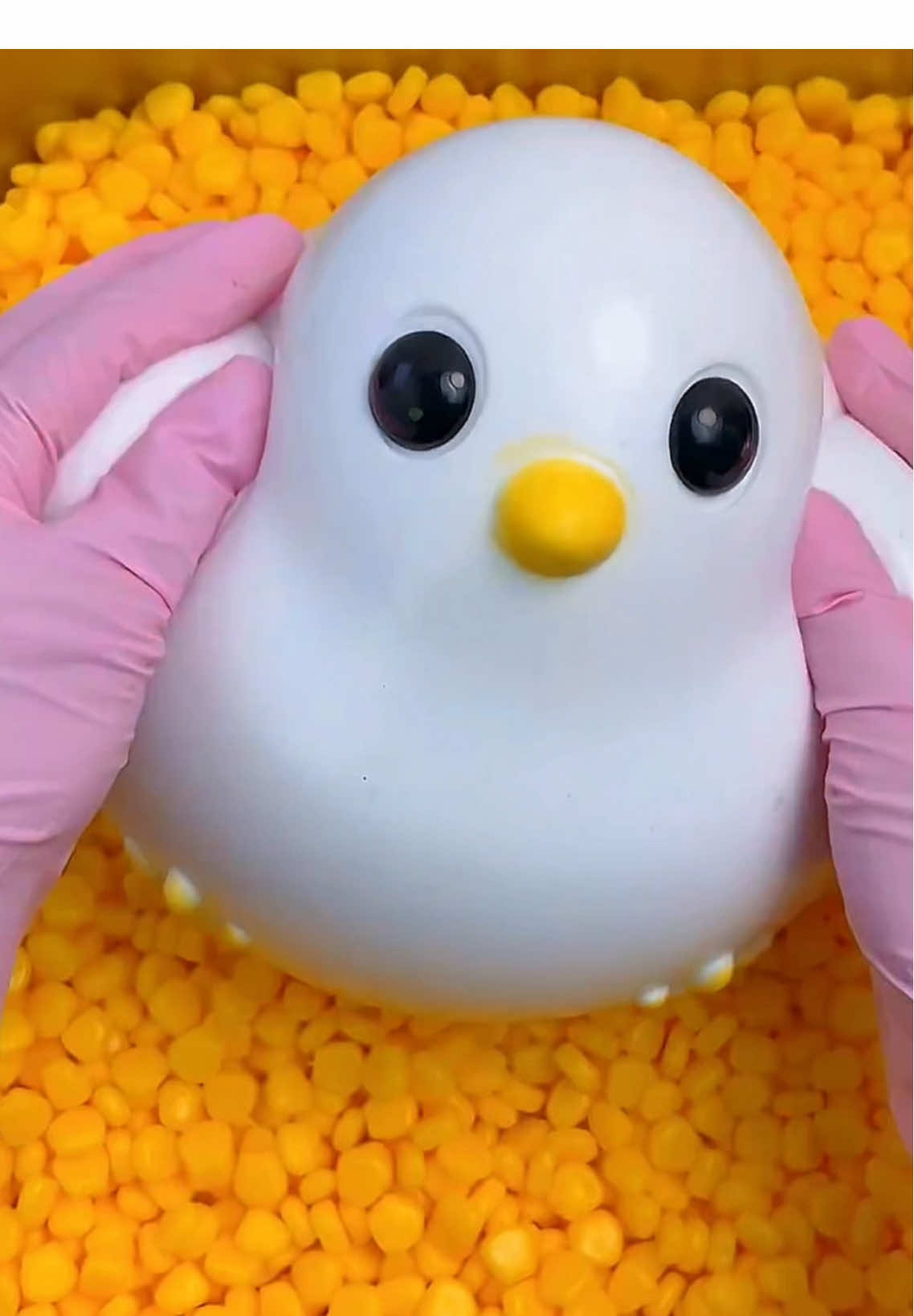 #🐧 #asmr 