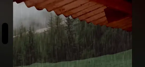 #videoviralitiktok #neiperte #videoviral #virale #viralvideos 