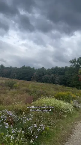 And don’t even tell me there’s nothing to do in the winter.. there are so many great hobbies! #fyp #winter 