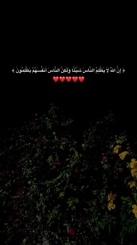#اجر_لي_ولكم_ولوالدينا_وللمسلمين #رام_الله_جنين_الخليل_بيت_لحم_القدس #foryou #fyp 