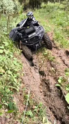 #покатушки по лесу 