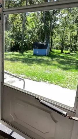 ✨ Thickened Magic Cleaning Cloth ✨ Just add water—no sprays or chemicals needed! This ultra-absorbent microfiber cloth wipes away fingerprints, smudges, and dust from mirrors, glass, stainless steel, and even car windows without leaving a single streak. Durable, reusable, and eco-friendly, it’s the miracle cloth that makes every shiny surface sparkle. I’m seriously shocked at how well it works! #MagicCleaningCloth #StreakFreeShine #MicrofiberMiracle #CleanWithWater #EcoFriendlyCleaning