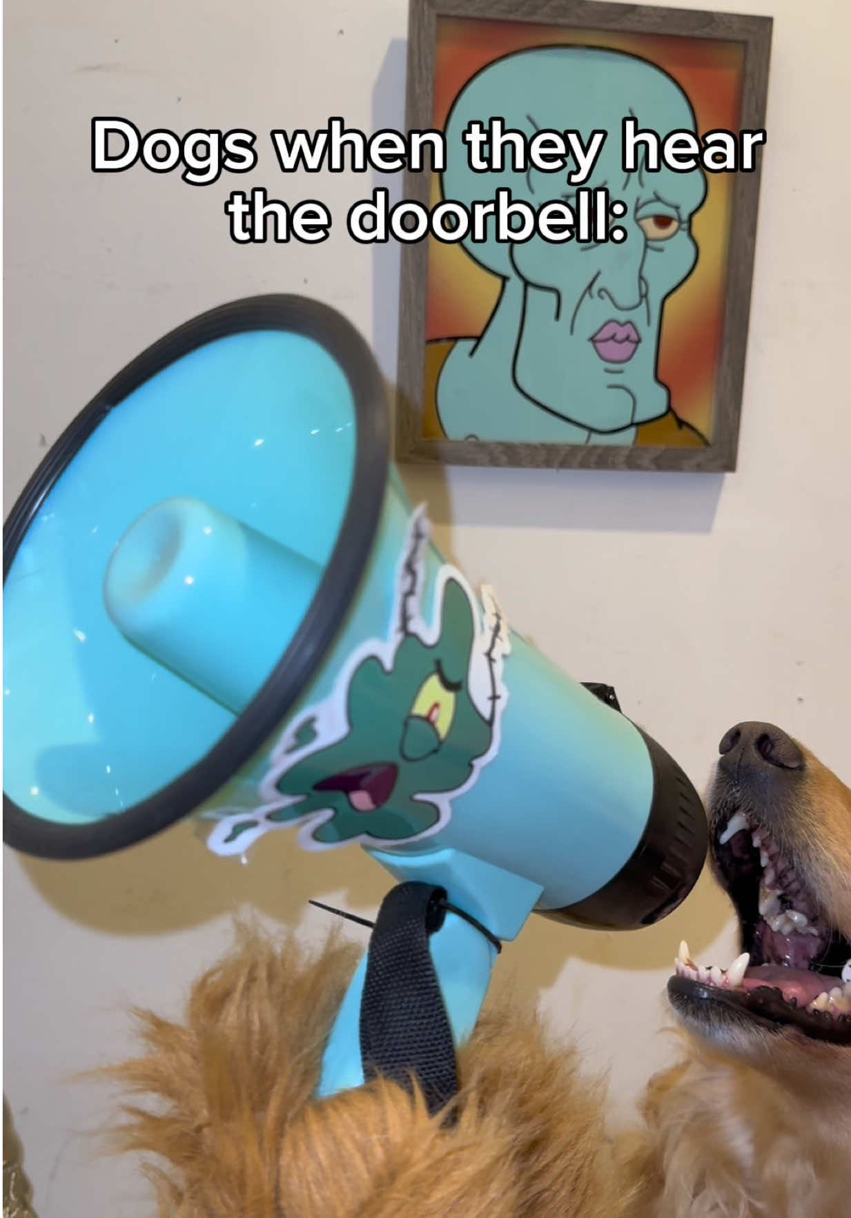 All Bark No Bite 🙄😂 #dogsoftiktok #funnydogvideos #dogparents #funnydog #dog 