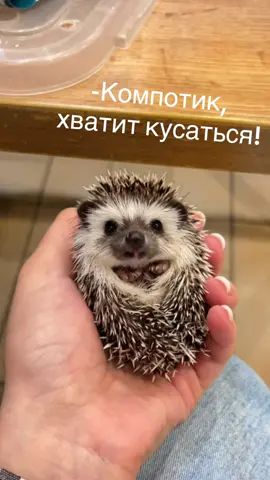 Ну лаааадно, это он в детстве был кусака❤️‍🩹 . . . . #рекомендации #хочуврекомендации #реки #fyp #rec