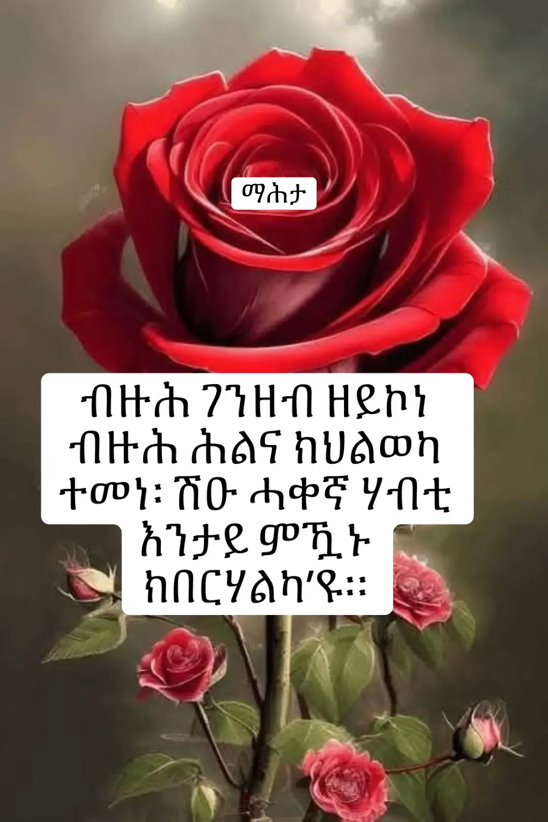 #followers➕ #eritreantiktok🇪🇷🇪🇷habesha #ethiopian_tik_tok #habeshatiktok #eritreantiktok 