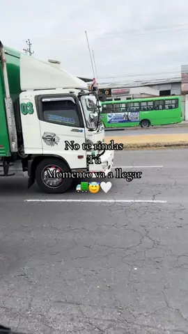 #viralvideos #cachifornia🇲🇱04🇪🇨 #camionerosporelmundo #trailerosdecorazon #hino 