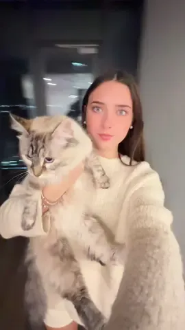 Kiwi is officially a city girl now.🥹 #cat #petlife #Vlog