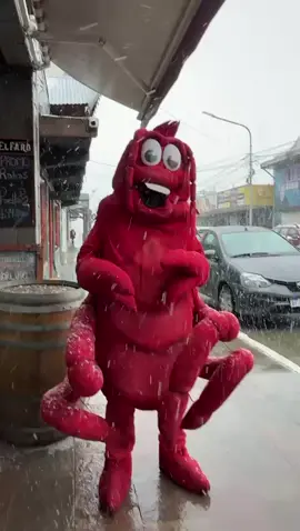 Centollita🦀#ushuaia #centolla #paratiiiiiiiiiiiiiiiiiiiiiiiiiiiiiii #trend #likes 