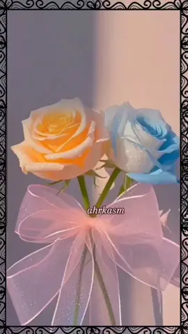 لله الخفايا ولنا حُسن الظنون🌹🌿 بالغ في حسن ظنك بالله ، فإن جزاء حسن الظن أن تنال ما ظننت .🌹🌿#مساكم_الله_بالخير #عبارات_رائعه #كلام_جميل #مساء_الورد #مساء_الخير 