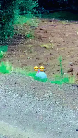 @NA DËR 