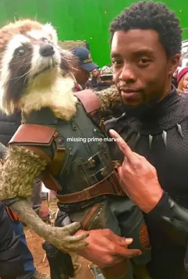 i feel a comeback #marvel #marvelcast #avengers #mc #marveledit 